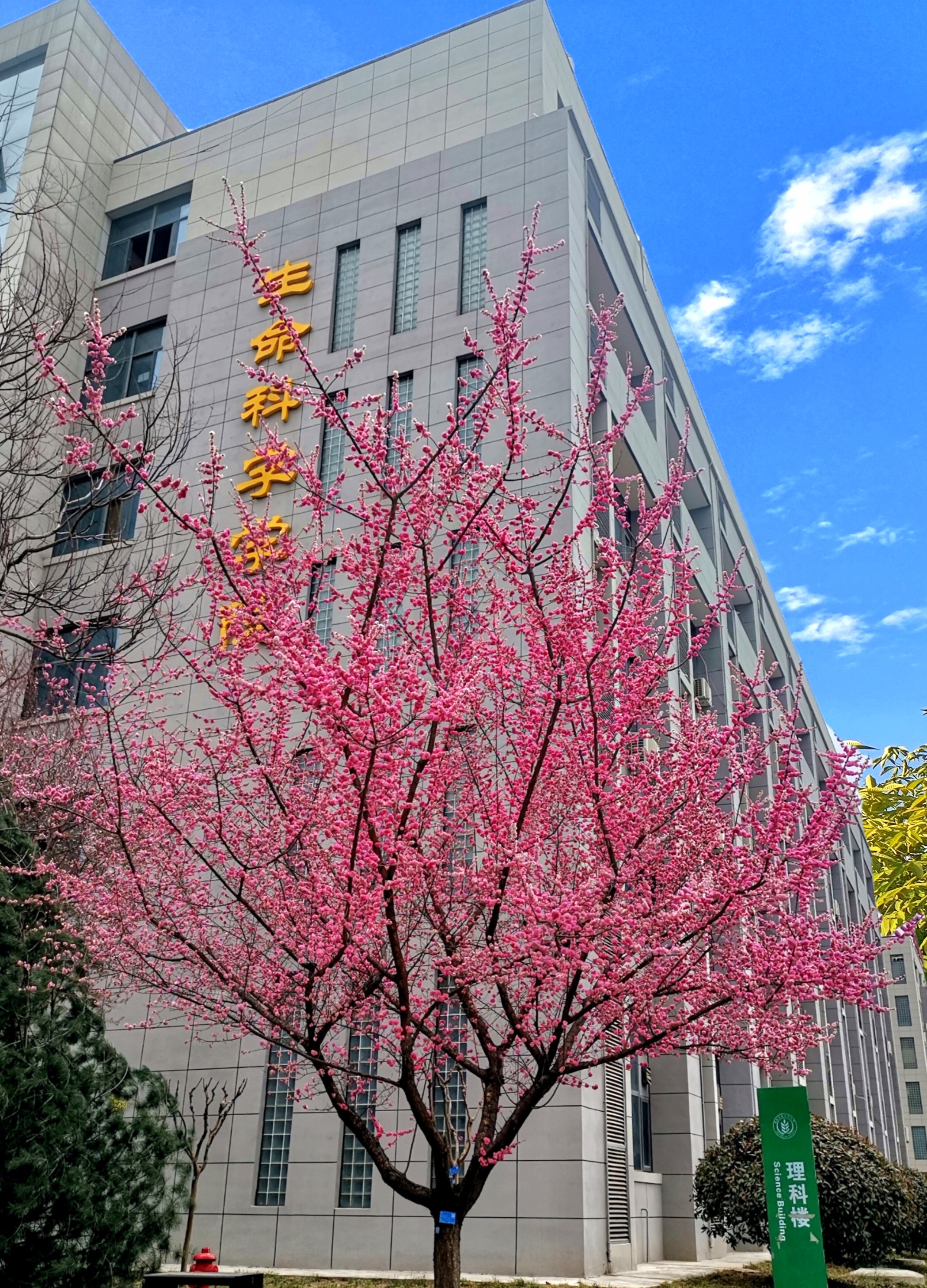 学院侧楼图.JPG