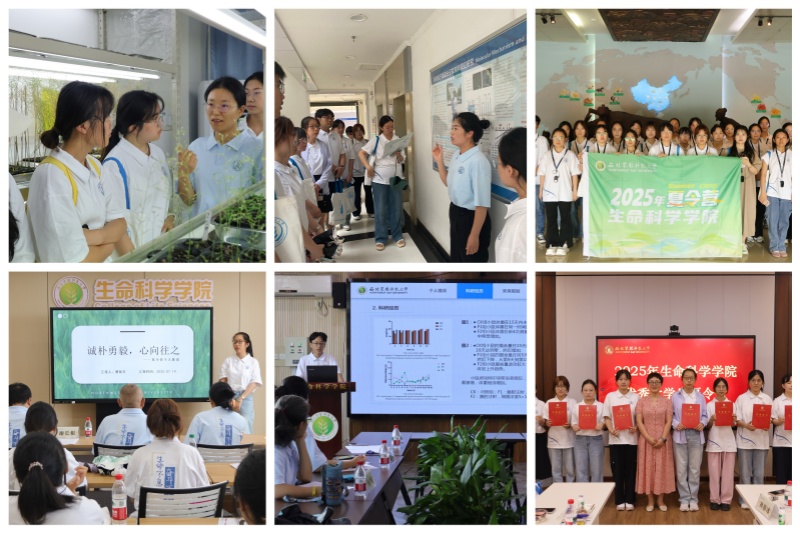 图3营员参观学习及考核.jpg