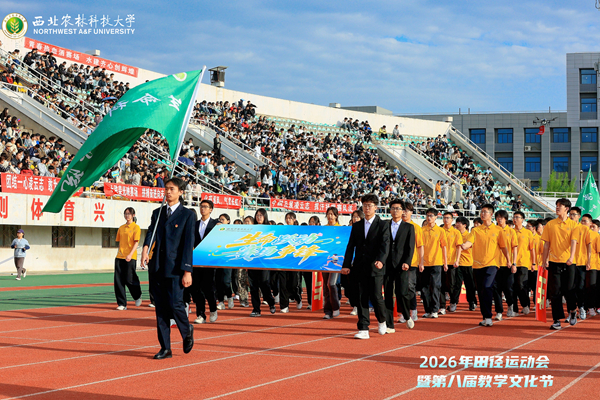 4 方阵1_副本.jpg