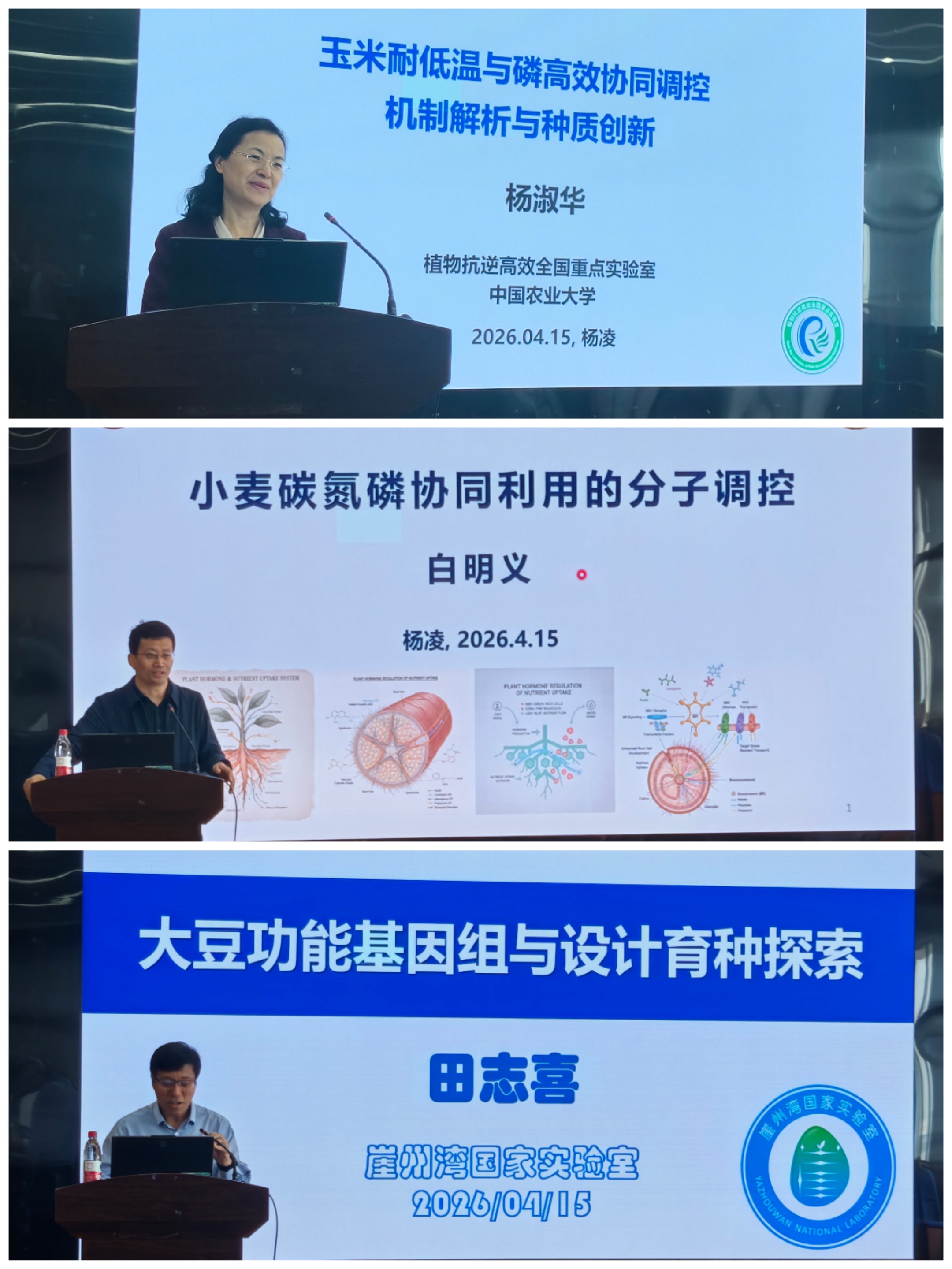 报告专家 拼图.jpg