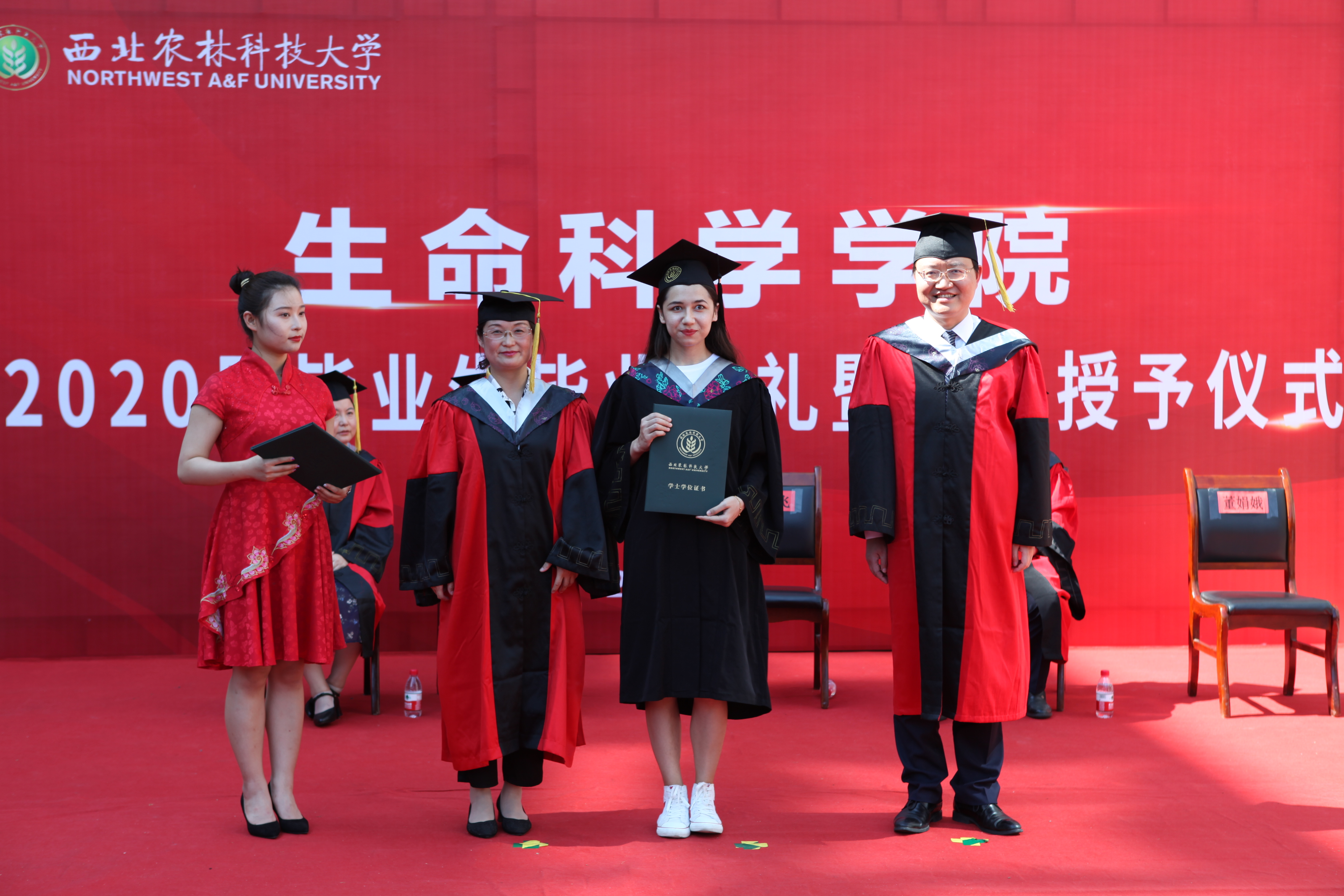 0dc3d386000b4c40becdf9cb212177b0.jpg