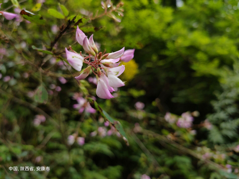 8637fe8578be45828c1713e5dac46d70.jpg