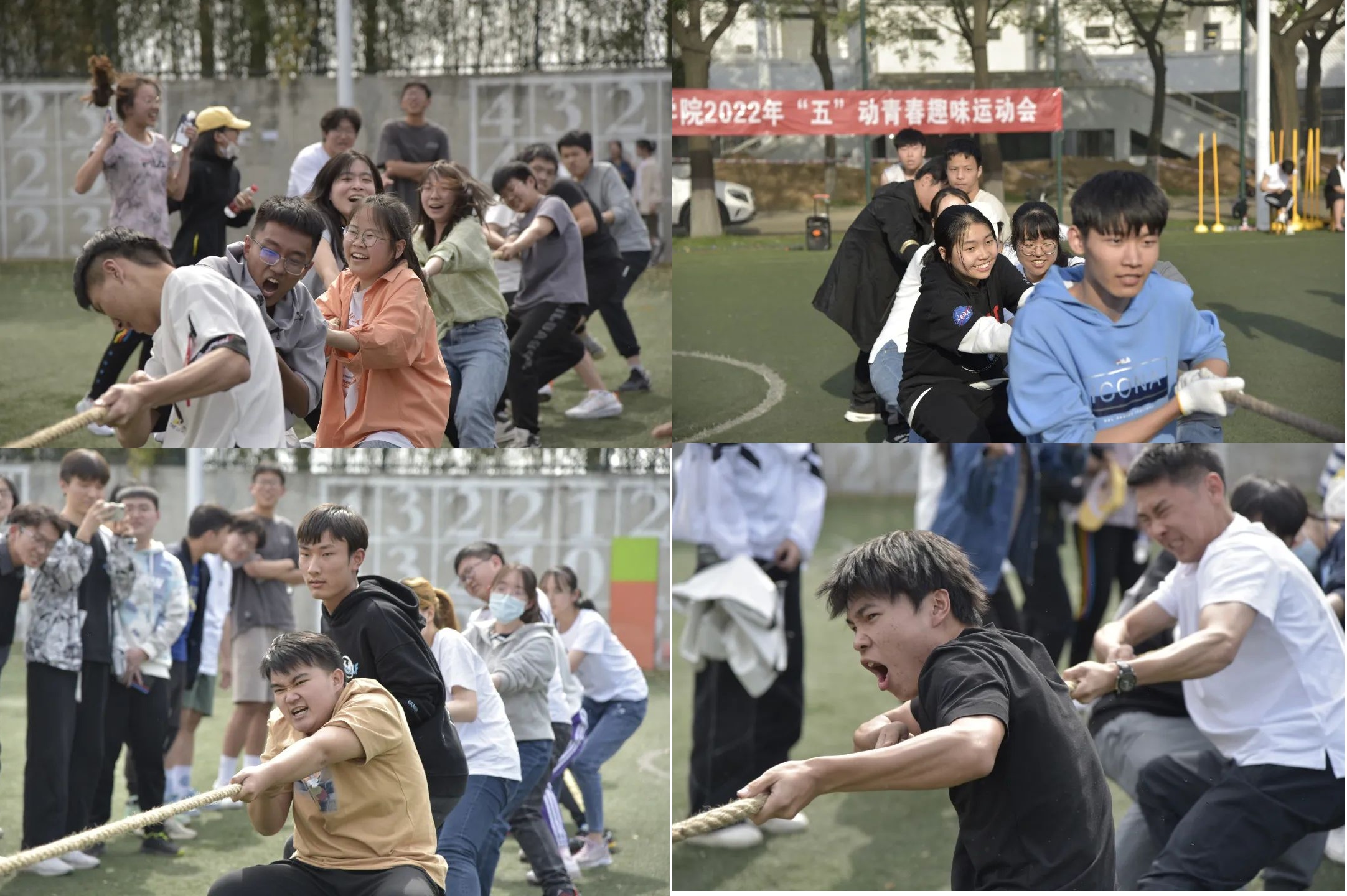 b0fe974d893a422b9cc4b1777a5c81fd.jpg